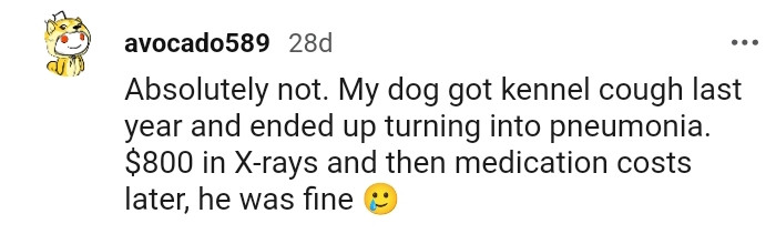 This Redditor's dog got kennel cough once