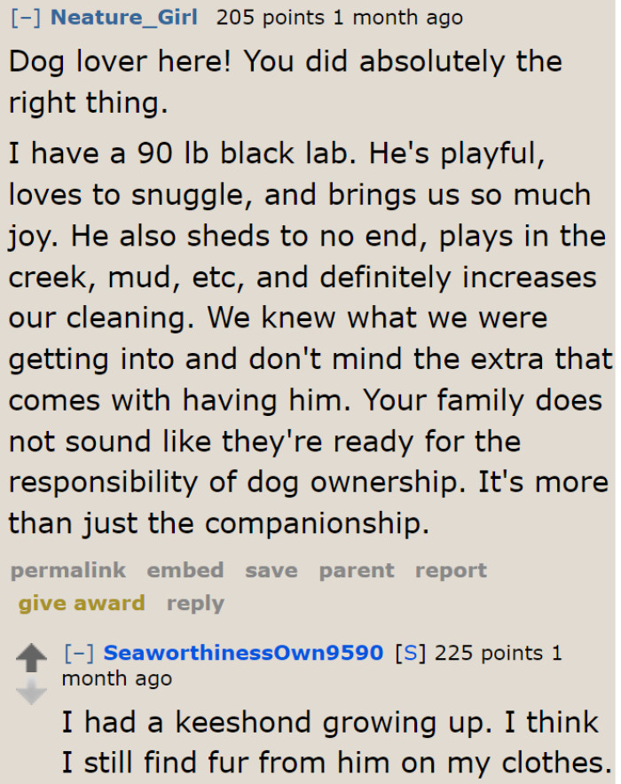 Looks like they're not ready to take a dog in yet.