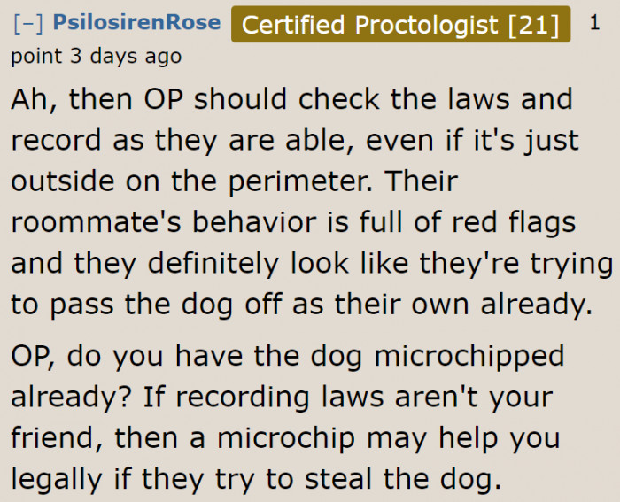 Microchipping is the safest option.