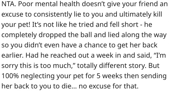4. Her friend had enough time to admit that they were unable to care for the spider.