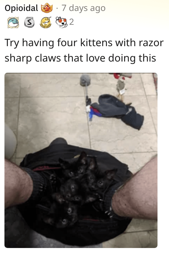 6. That's a lot of kitty campers