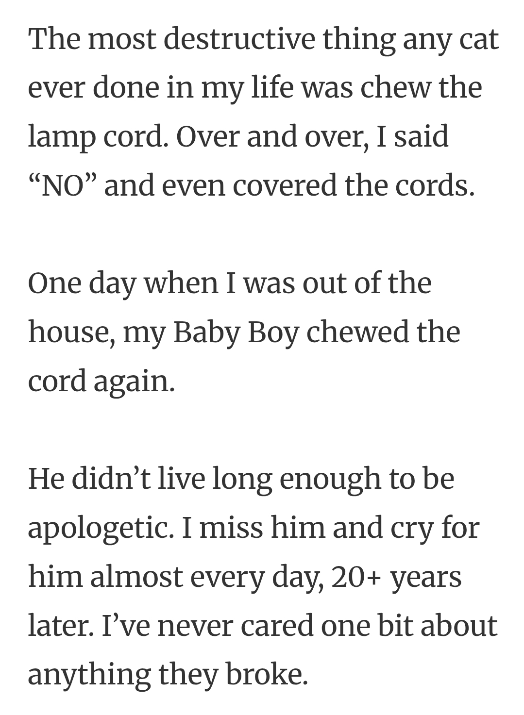 29. Chewing the lamp cord