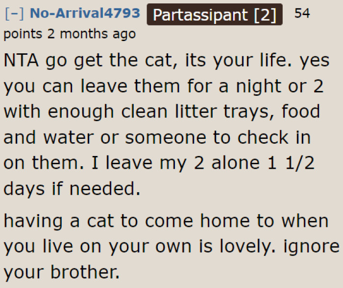 Why is the brother worried that she'll bring the cat? Felines can be left at home without issues.