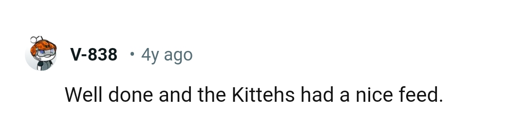 The cats did have a nice feed, all thanks to the OP