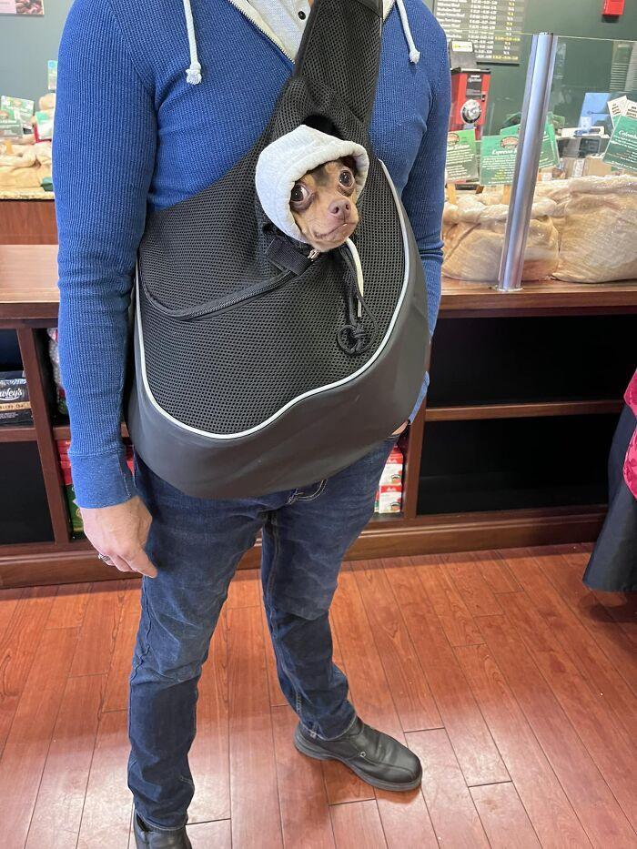 35. This Is Patrick. Patrick Is Adorable