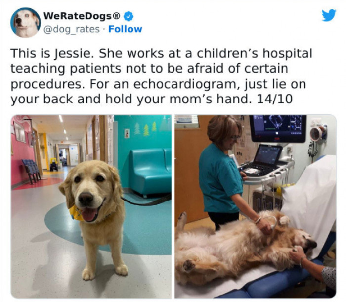 33. If only Jessie were with us during our visits to the doctor...