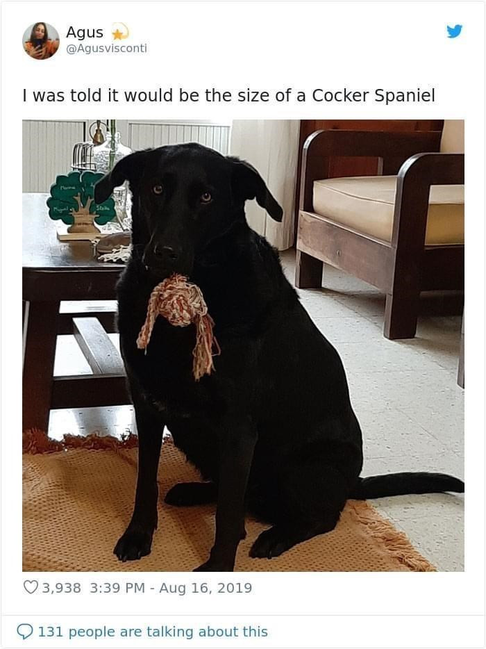 5. And this is what I received...