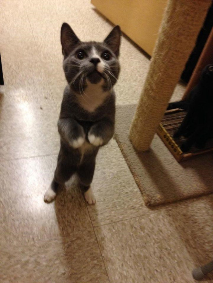 1. Tell us what you can hold back from a little cutie like this