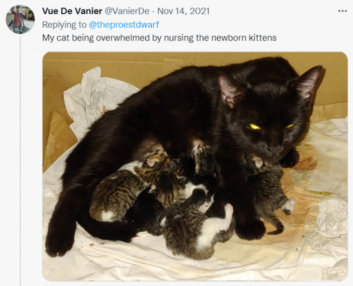 She is delighted with her new life role.