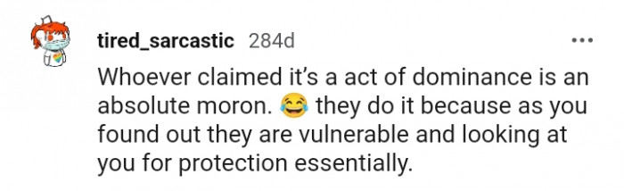 17. They do it because they look to you for protection