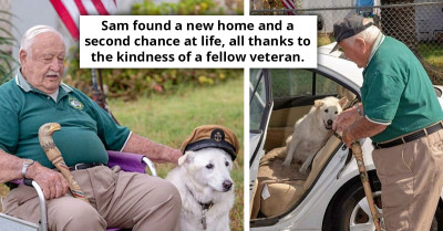 Senior War Veteran Welcomes 13-Year-Old Shelter Dog Abandoned Due to Previous Owner's Military Deployment