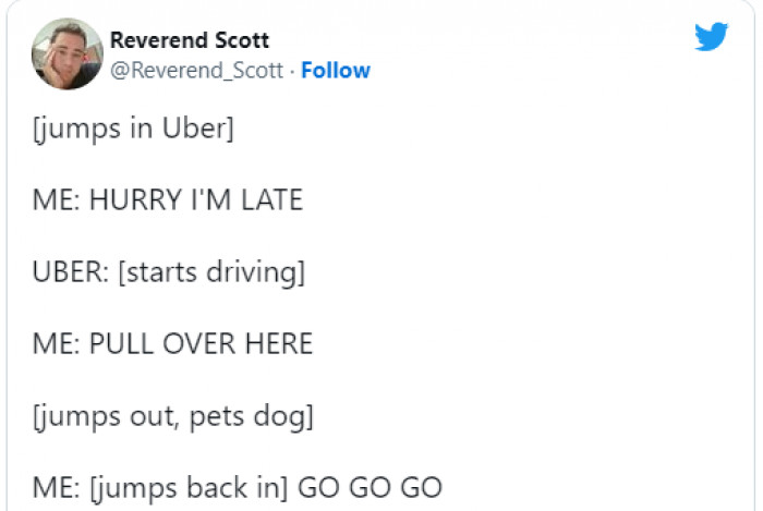 2. Never miss a chance to pet a dog: