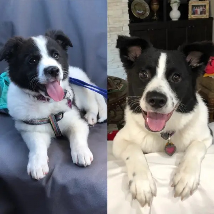 4. Look how happy Cocopuff is!