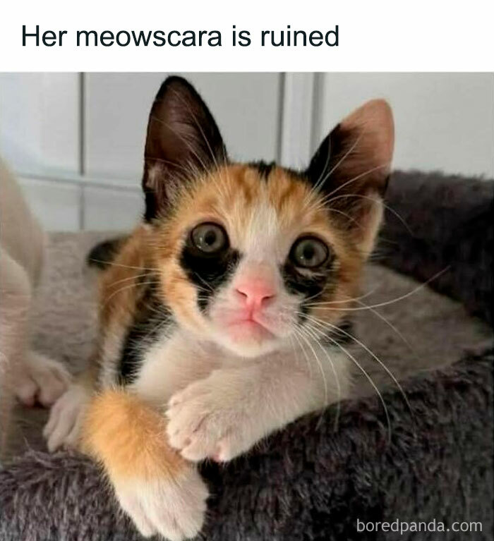 25. Oh no