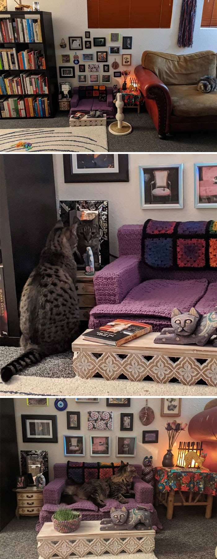 34. This Person Made A Tiny Living Room For Their Cats