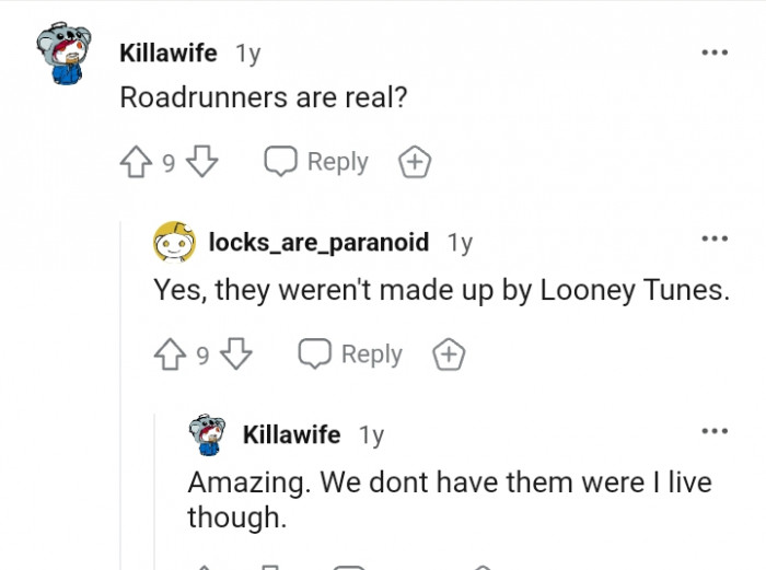 This Redditor doesn't have roadrunners where they live