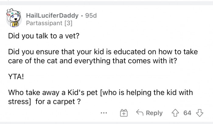 Taking the cat to the vet would be great just in case the litter box issue is more of a medical issue.