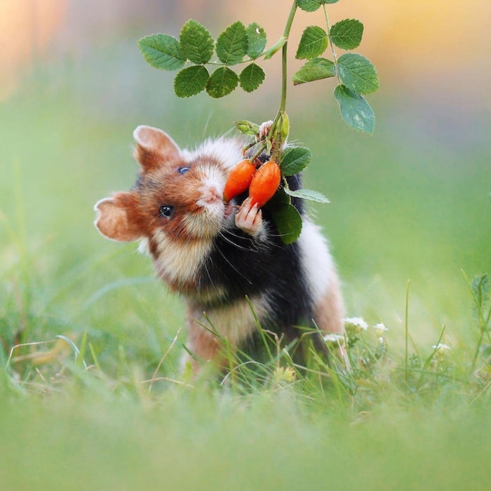 7. So yum, yum, yummy...