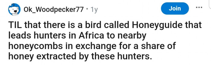 The perfect partnership, don't you think?