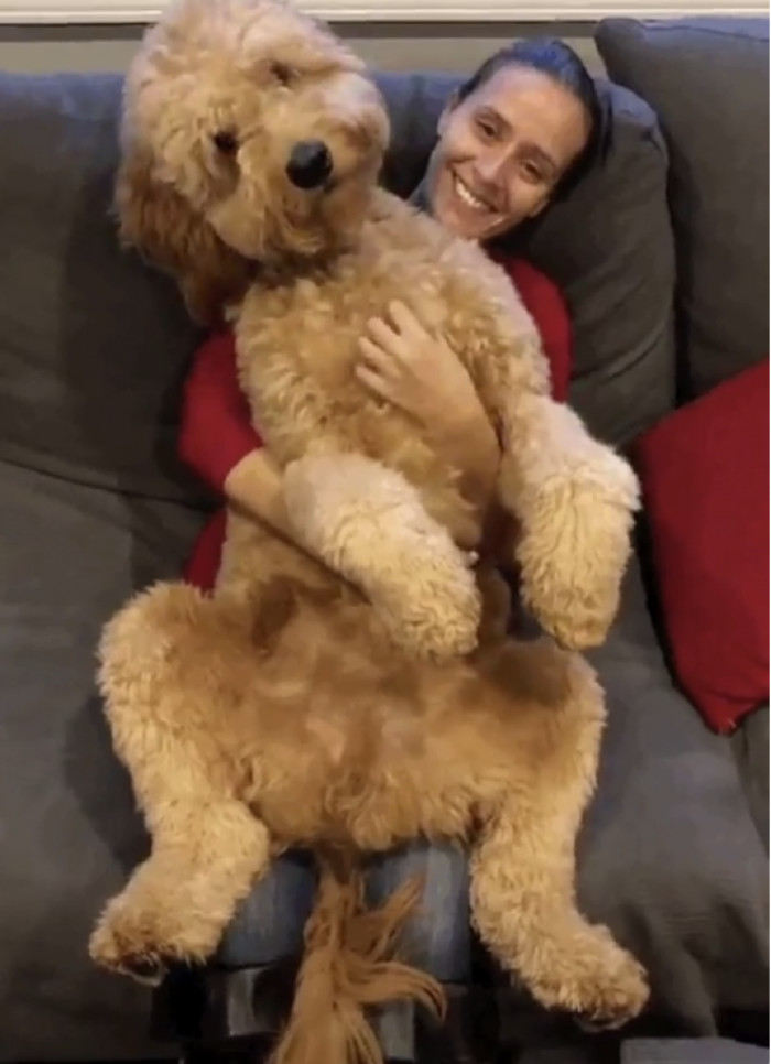 4. This adorable dog: