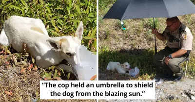 Woman Is Moved To Tears As Cop Shows Kindness To Stranded Dog Under The Scorching Sun
