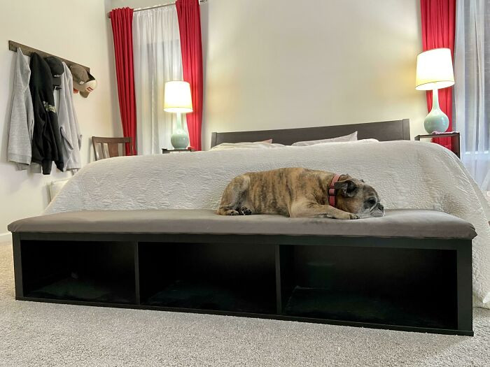 24. An Hemnes shelf found in the as-is area and upholstered with some fabric to help dogs get onto the bed