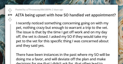 Redditor Angry At Their SO For Allowing Unecesary And Costly Tests When Taking Their Pet To The Vet