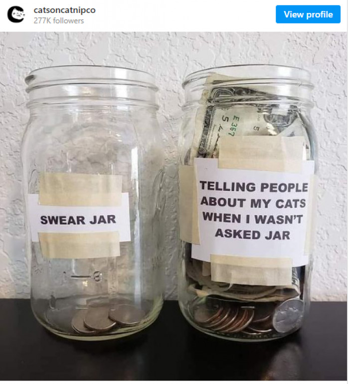 3. Will also spend it all on the cat.