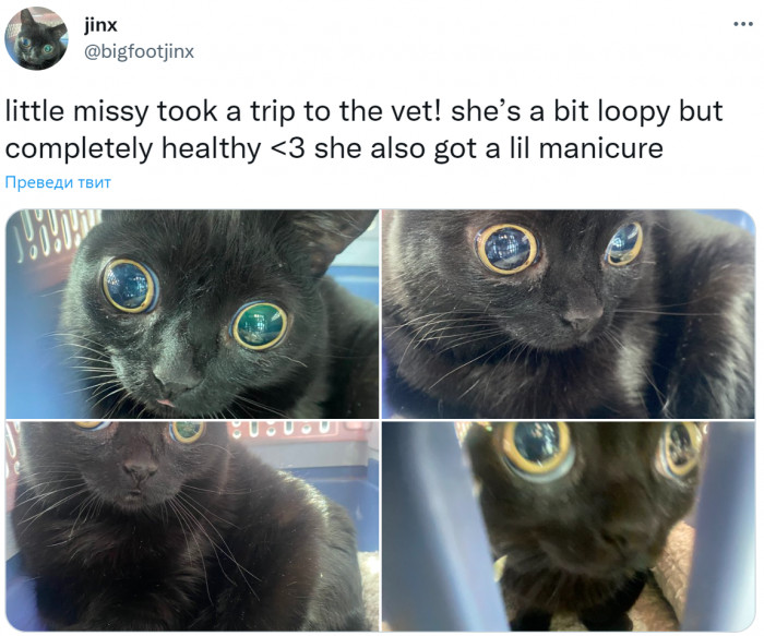 6. Aww, look at her eyes