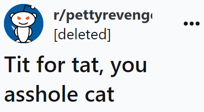 The original poster (OP) shared a story about their petty revenge against their a-hole cat.