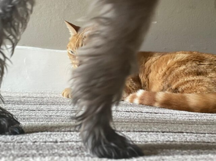 1. Just gonna stay here