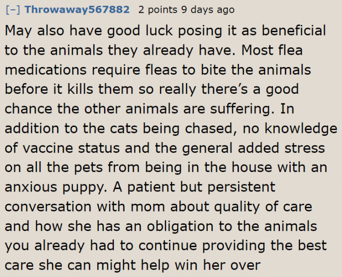 The OP needs to be persistent. It's for the sake of Abby too.