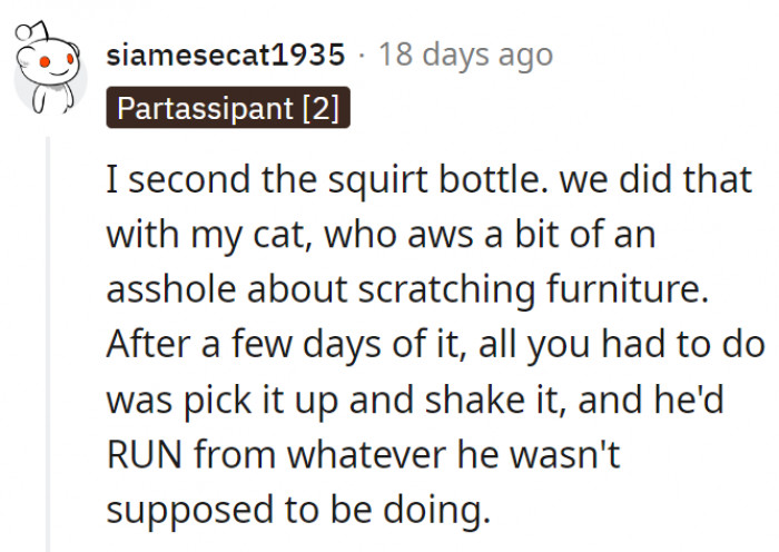 5. The squirt bottle seems like a brilliant idea that's harmless to the cat