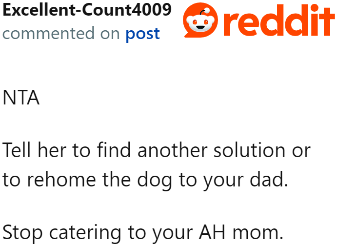 If the mom can't take care of the dog properly, they can simply rehome it to the OP's dad. Problem solved!