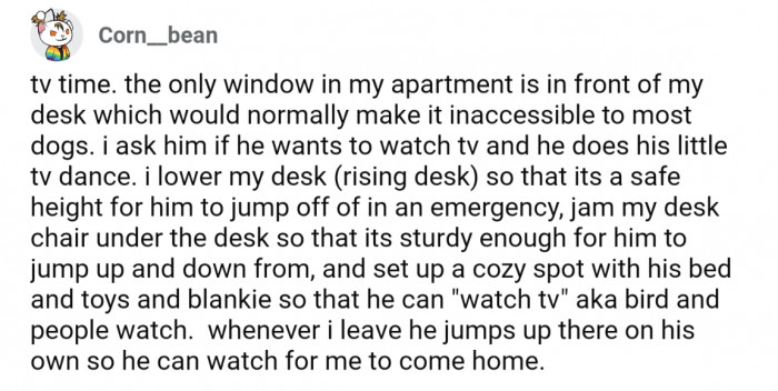 17. They safely adjust their desk and desk chair to allow their pup to enjoy "TV Time"