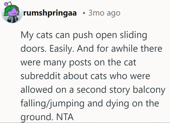 Cat owners chimed in fast, reminding everyone just how strong and curious these little escape artists are.
