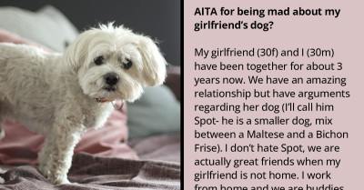 Woman Ignores Her BF's Request to Not Let Her Dog Sleep on the Bed with Them, Even Though It Is Constantly Biting Him