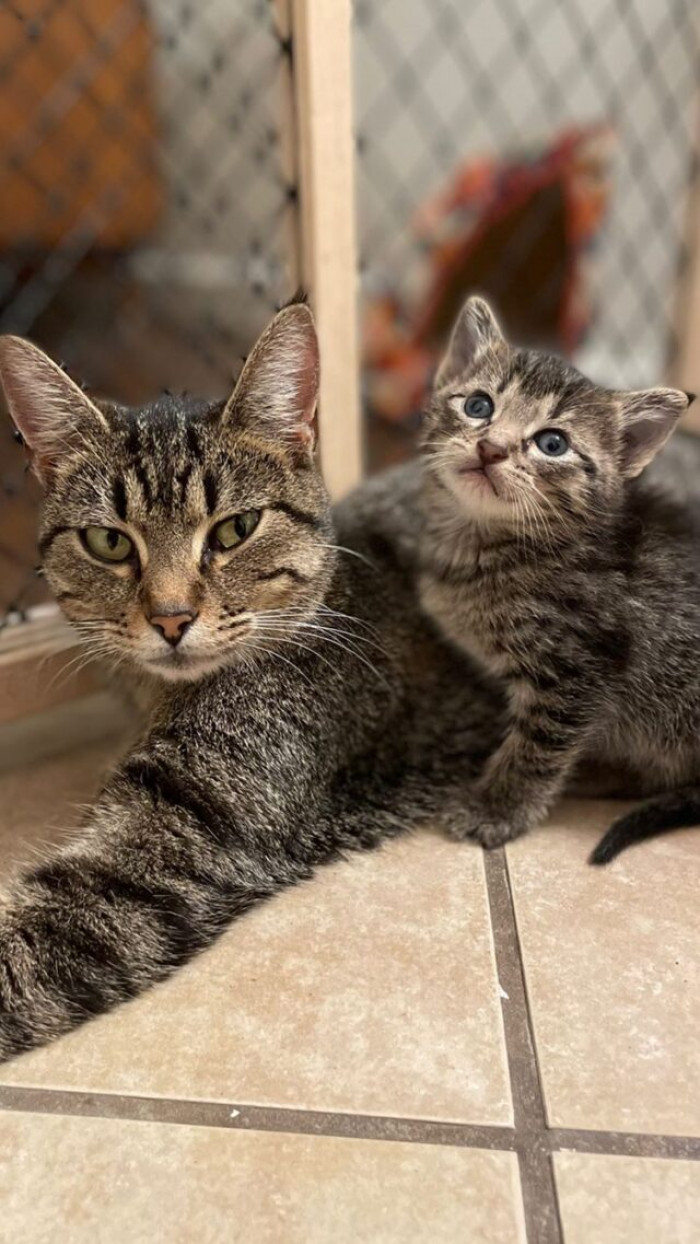 But now they are in a foster home