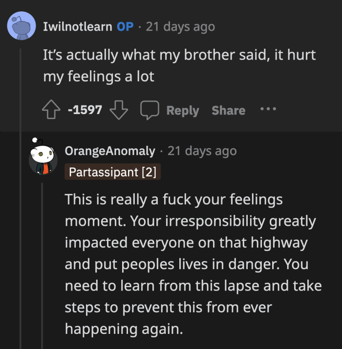 After everything the redditors told her, OP was still more concerned about her feelings that admitting how reckless she was