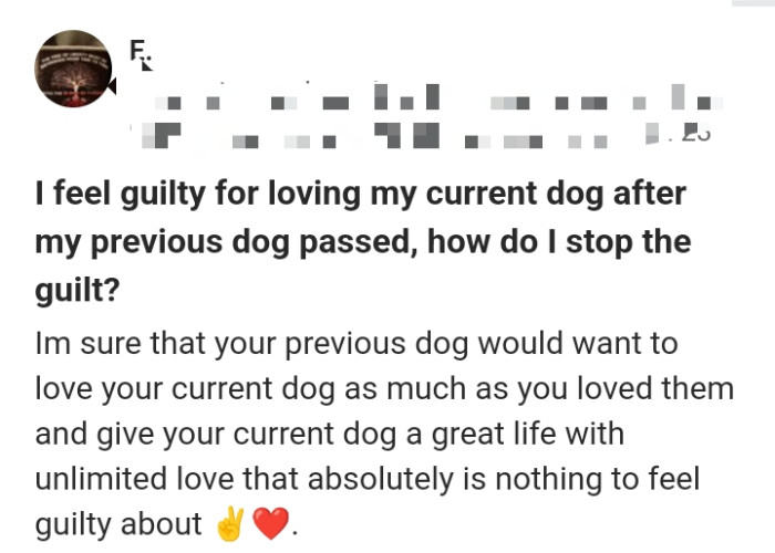 7. Giving the current dog a great life