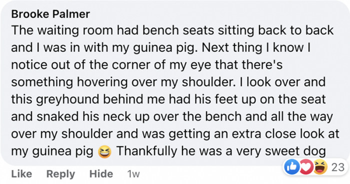 4. Making new friends