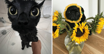 20 Beautiful Pictures Of Animals That Are Worth More Than A Thousand Words And Will Inspire You