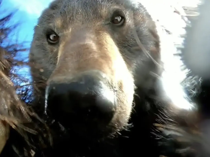 Dylan was out on a hunting trip when he stumbled upon a GoPro camera, and he had to find out what kind of footage could be hiding on it