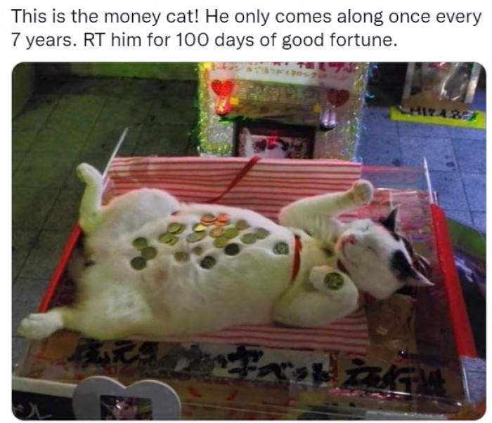 16. For an extra 100 days, share his picture with 10 people...