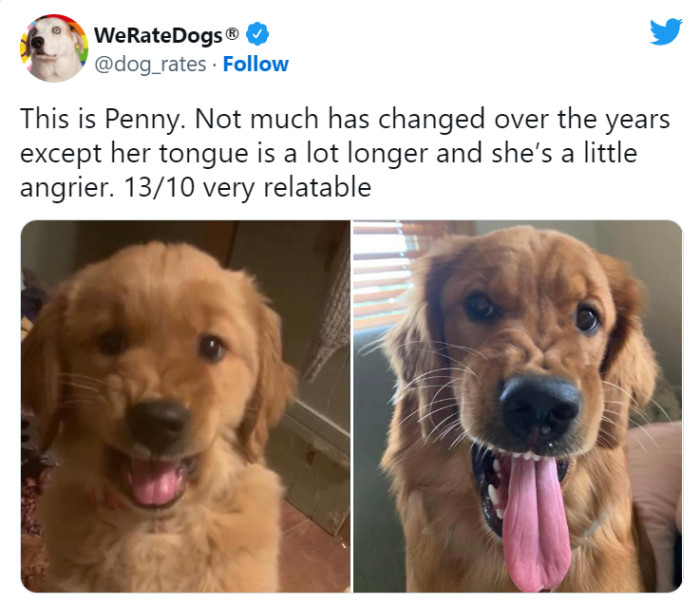 11. That's a very long tongue! Will it keep getting longer?