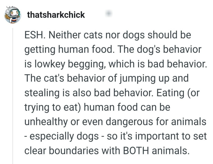 It's important to set clear boundaries with both animals