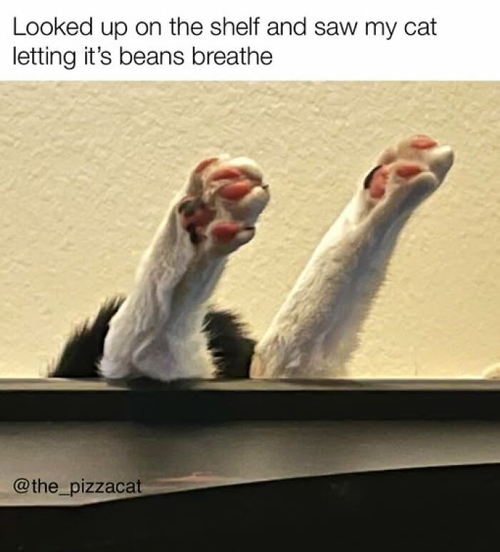 5. Just letting my beans breathe