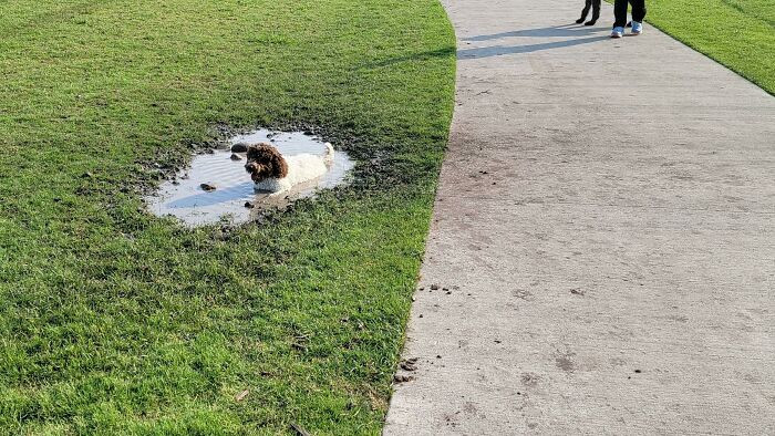 13. "No Water Feature," says the park. Yeah right!