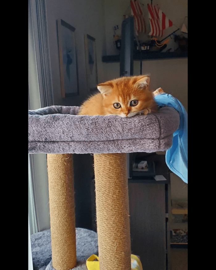 4. Those eyes draw you in.