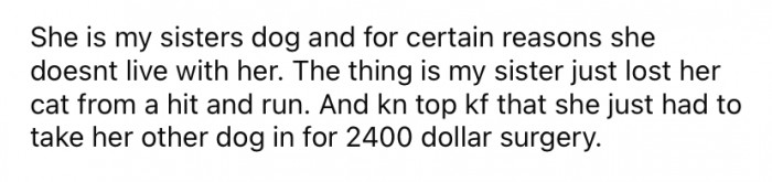 The Redditor explained that the dog technically belongs to her sister, but she lives at home with them.